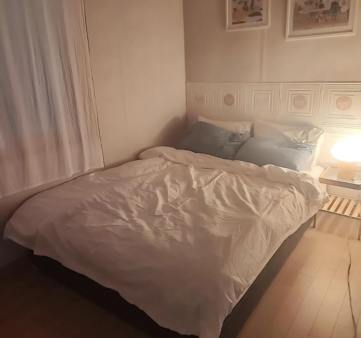 Large House Subway 5 Minute Villa Seoul South Korea